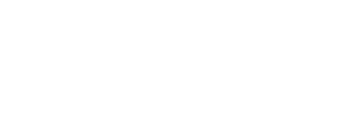 Sepson USA ™ Logo